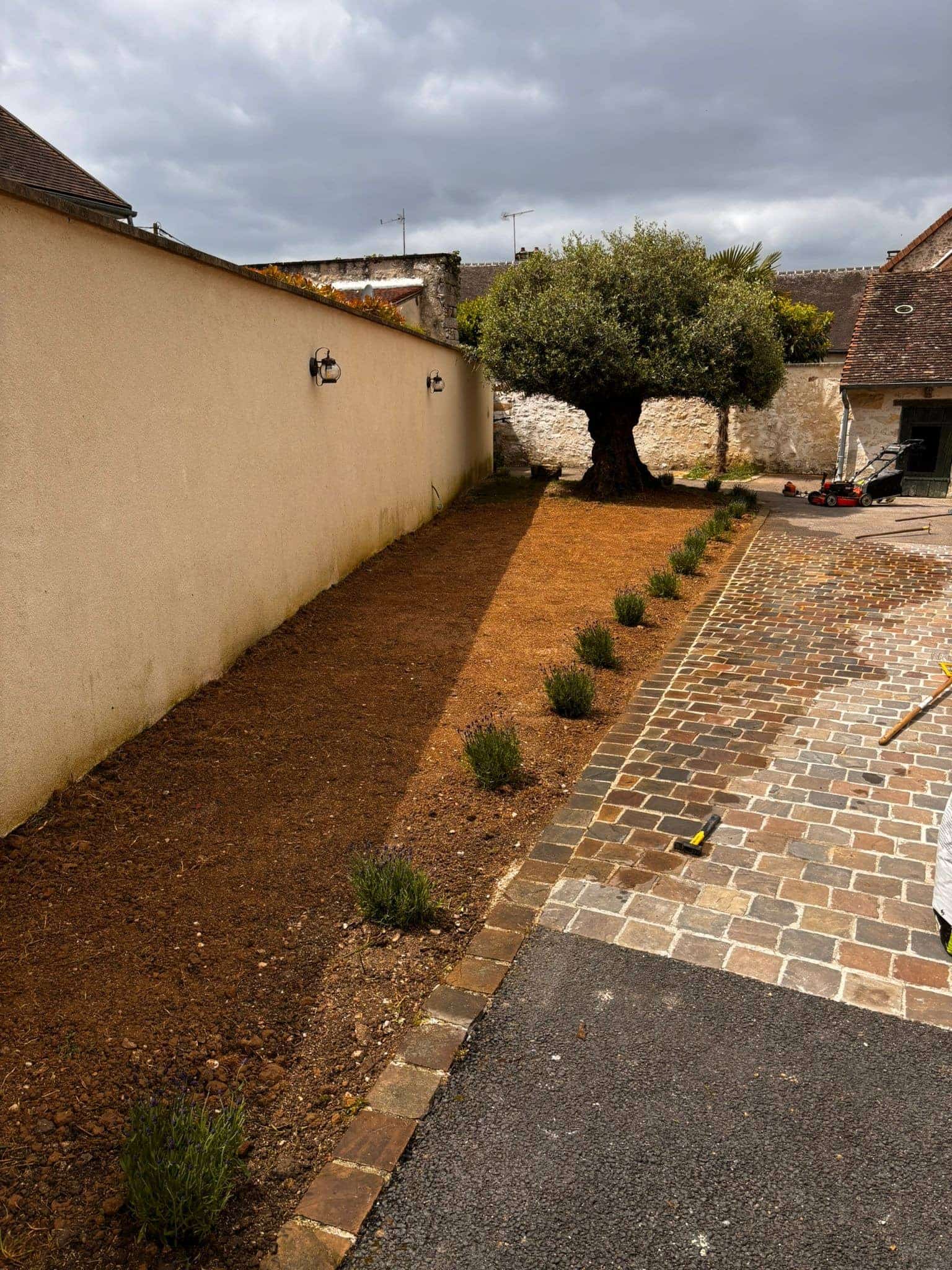 Aménagement d'une cour : olivier, bordure de lavandes et pavés par Green Line Solutions