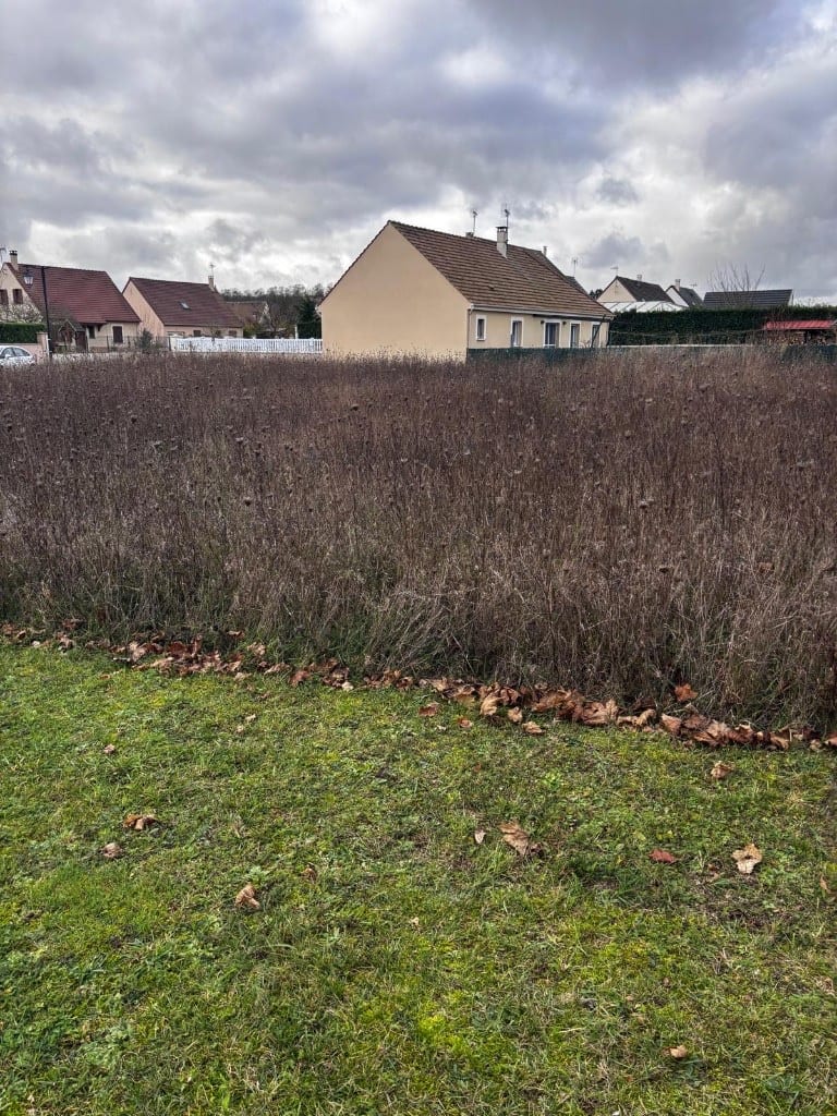 Avant débroussaillage : herbes hautes et broussailles sèches devant des maisons