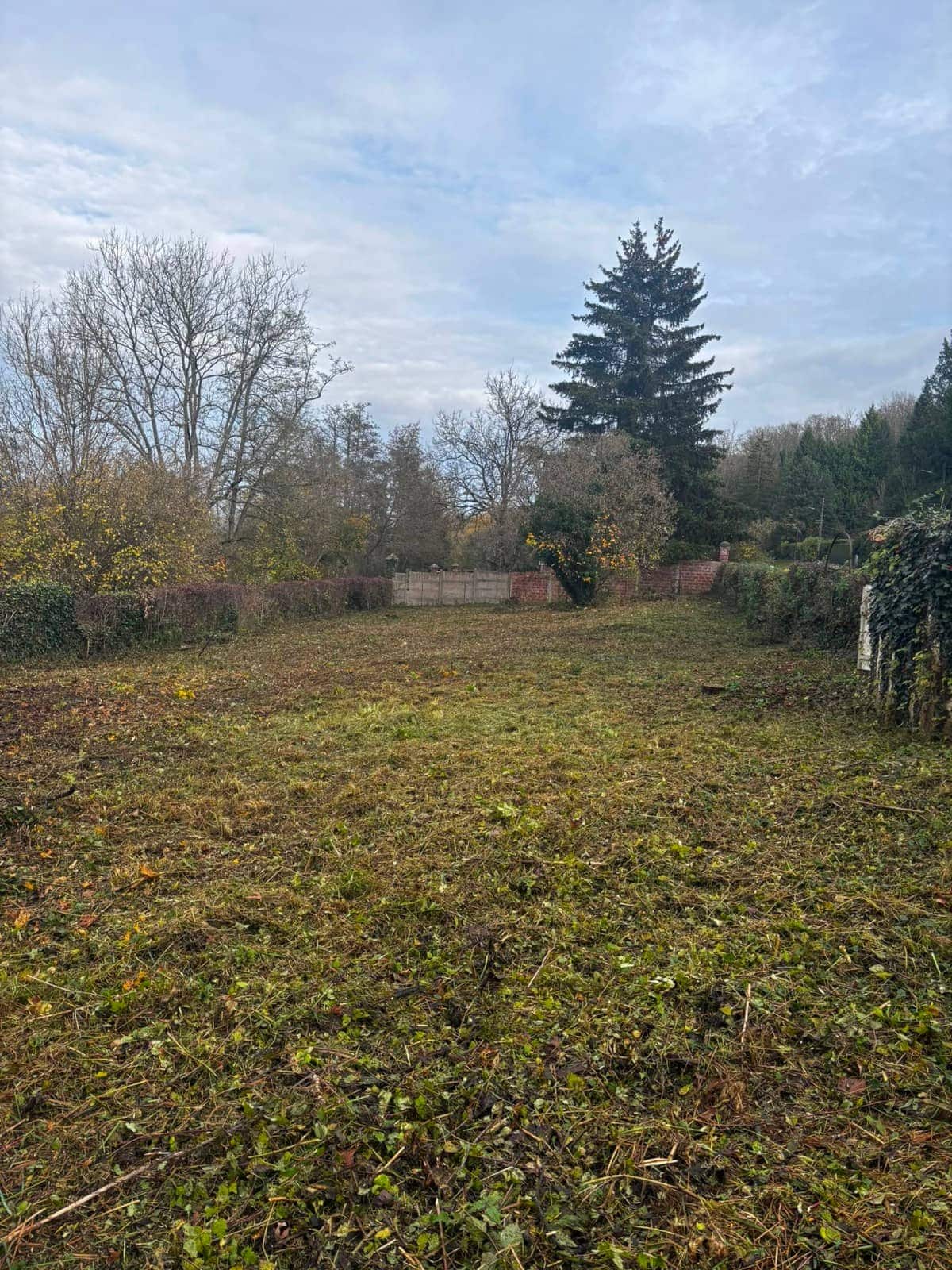 Après défrichage : terrain dégagé, broyat au sol, clôture et arbres visibles