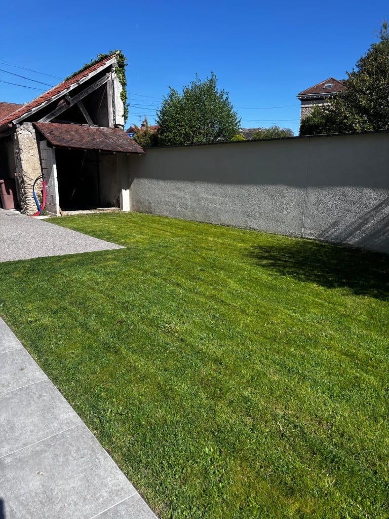 Après : pelouse dense et uniforme, allée dallée et hangar conservés