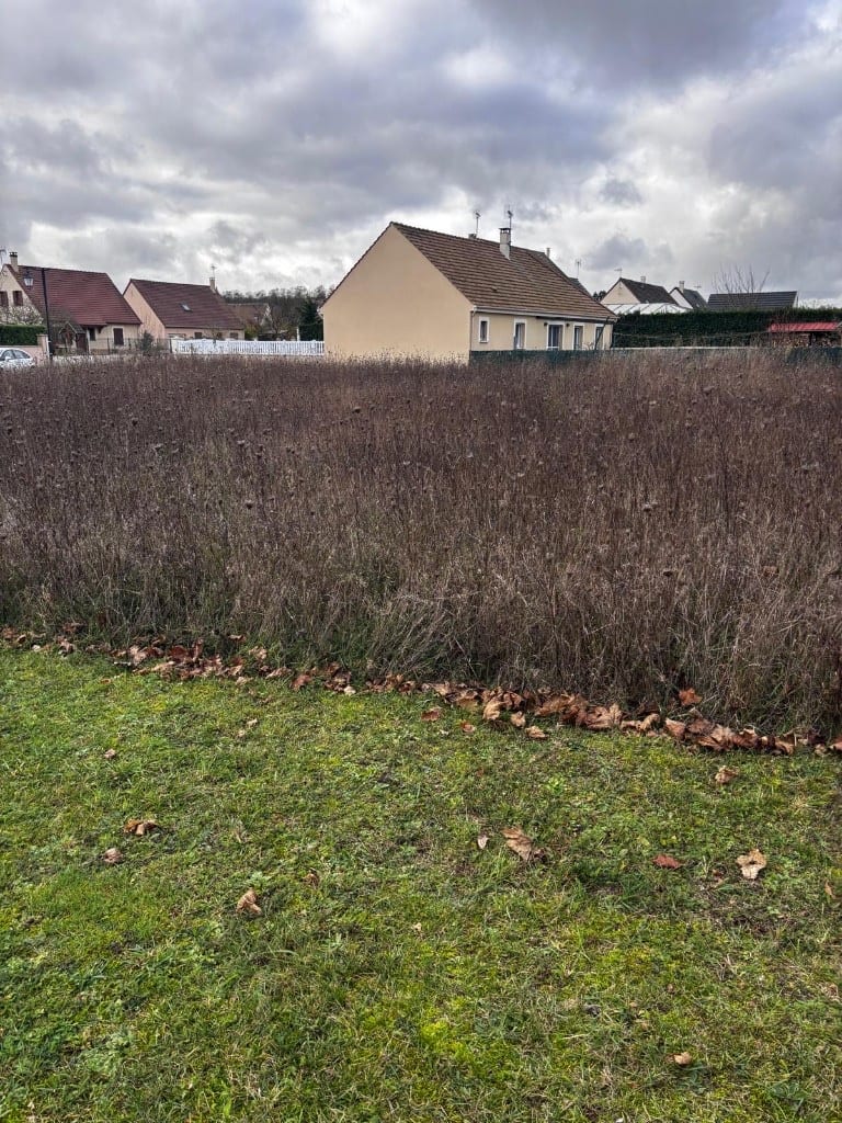 Parcelle en friche à débroussailler : herbes hautes et broussailles devant des habitations