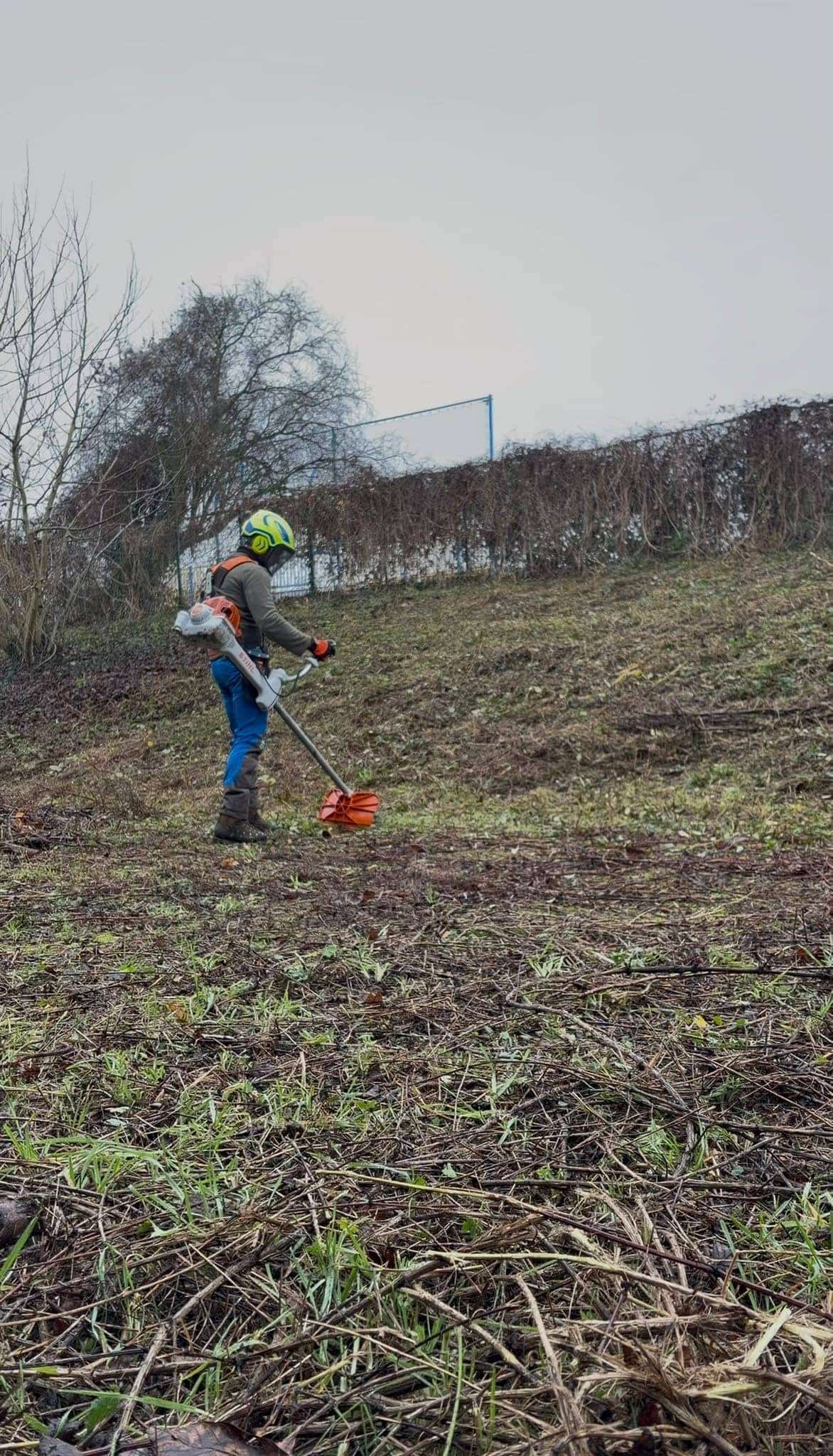 Défrichage d'un talus envahi par les broussailles par Green Line Solutions