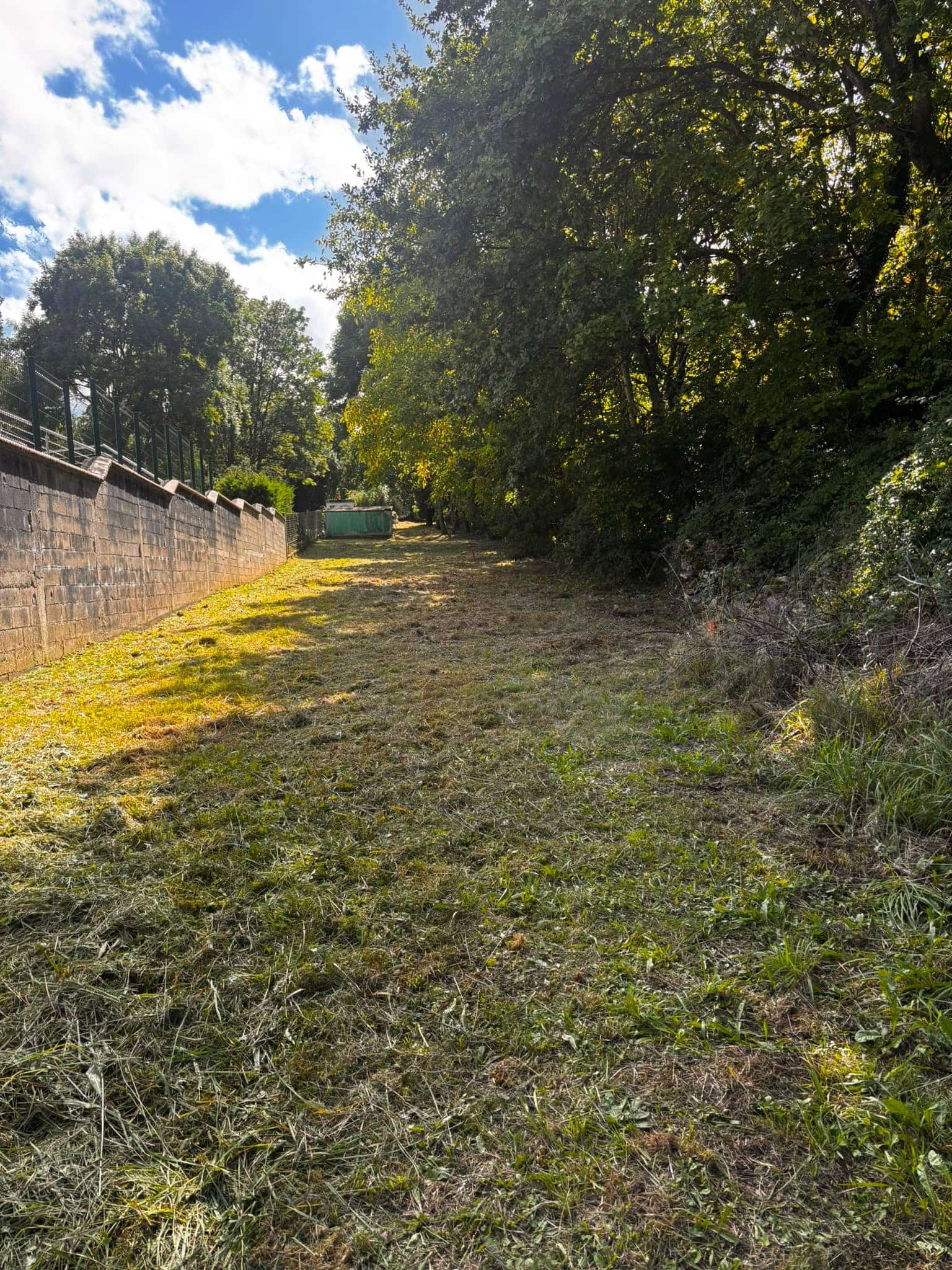 Fauchage et débroussaillage d'une longue bande de terrain par Green Line Solutions
