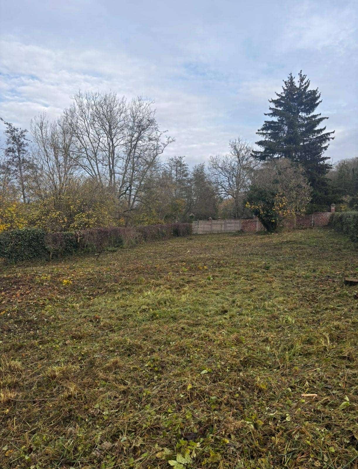 Terrain dégagé après défrichage et fauchage par Green Line Solutions en Île-de-France