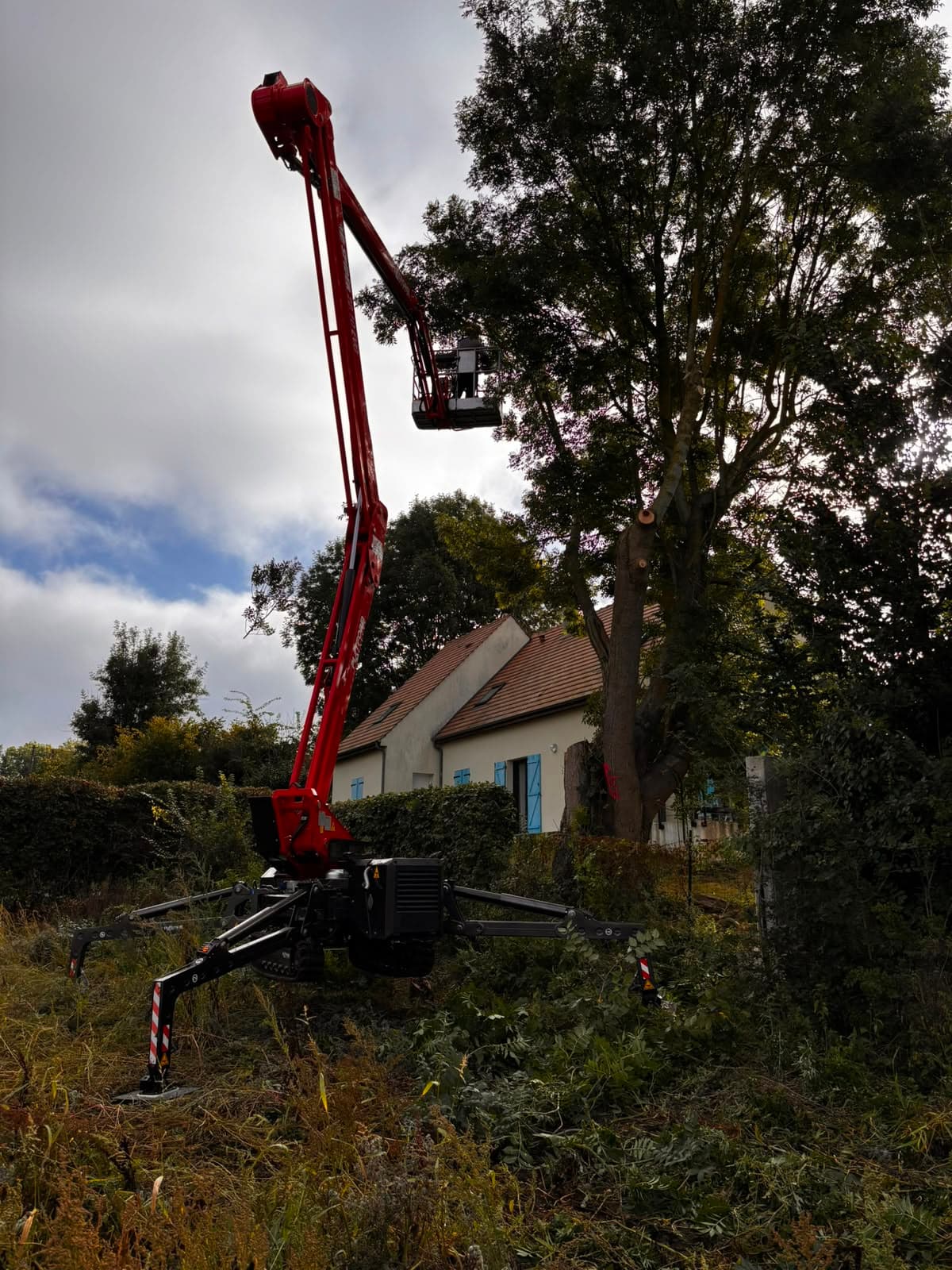 Élagage d'un arbre depuis une nacelle araignée sur chenilles par Green Line Solutions